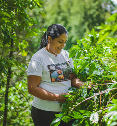 <a href="http://fusai.org.sv/fundacion-del-valle-actec/" target="_blank" style="color:inherit;text-decoration:none"> Fundación Valle, ACTEC, Generalitat Valenciana, FUSAI </a>